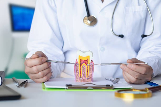 Best Emergency Dental Care for Broken or Chipped Teeth in Woodbine, GA